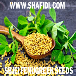 FENUGREEK SEEDS